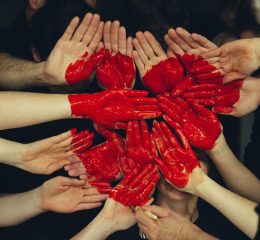 adult-hands-Pexels-Pixabay adult-hands-Pexels-Pixabay